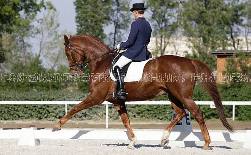 K8凯发(中国)天生赢家·一触即发百度游戏开放平台足球运动员如何科学有效地锻炼腿部肌肉，提升运动表现