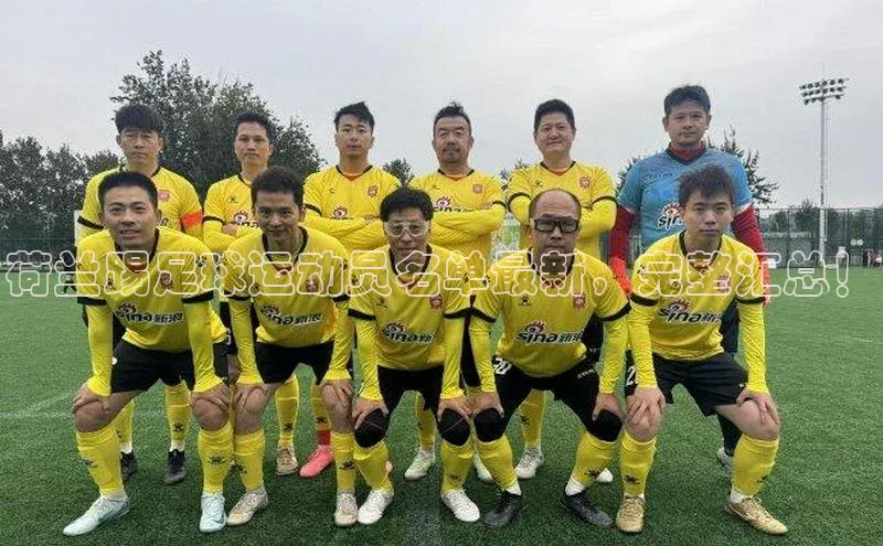 凯发app官网入口诸葛科技荷兰踢足球运动员名单最新，完整汇总！