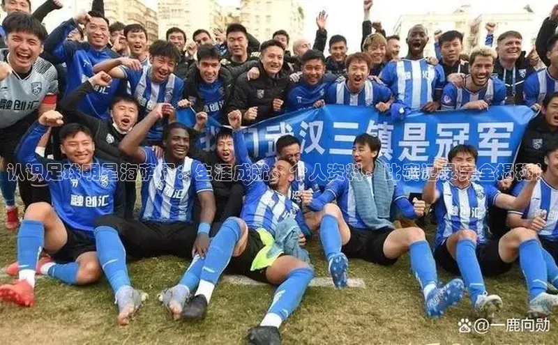 AG凯发K8国际爱慕股份认识足球明星海萨伊：生涯成就、个人资料、比赛记录完全揭秘！