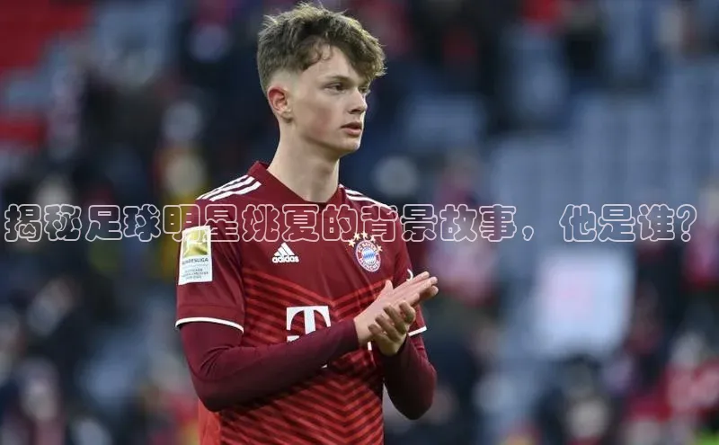 凯发·k8官方网站百度安全社区揭秘足球明星姚夏的背景故事，他是谁？