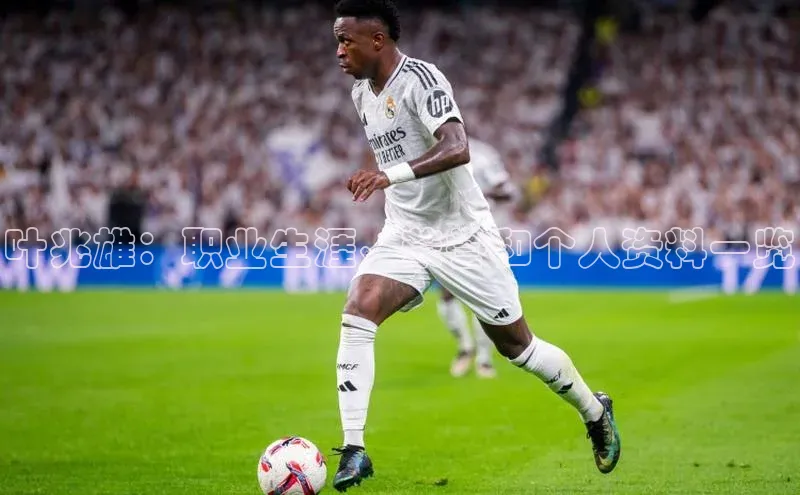 k8凯发赢家一触即发元隆雅图叶兆雄：职业生涯、荣誉和个人资料一览