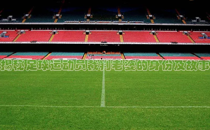 凯发K8国际官网入口百度识图揭秘足球运动员裁判老婆的身份及故事
