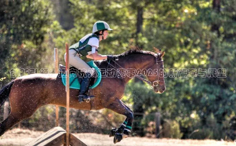 凯发k8(中国)天生赢家如流创新引领：迈向杭州运动赛事2025的新篇章与展望