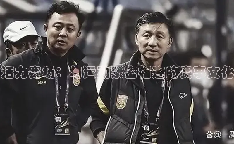 活力赛场：与运动紧密相连的赛事文化