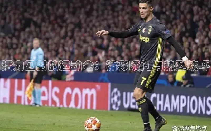 活力四射的运动会：精彩瞬间与热烈欢呼