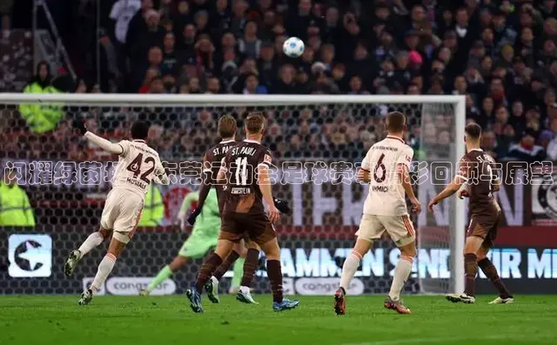 闪耀绿茵场：东莞运动会足球赛事精彩回顾与展望