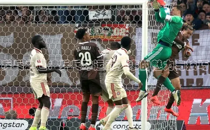 乒乓之道：乒乓球运动赛事的魅力与技巧