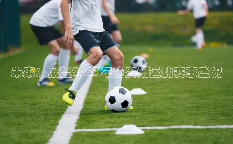 未来：展望2027年的贵州运动赛事盛况