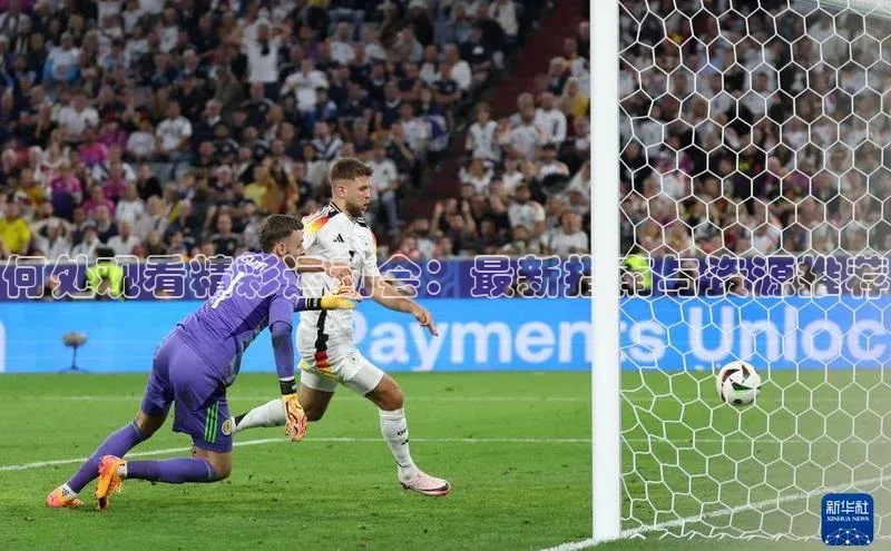 何处观看精彩运动会：最新指南与资源推荐